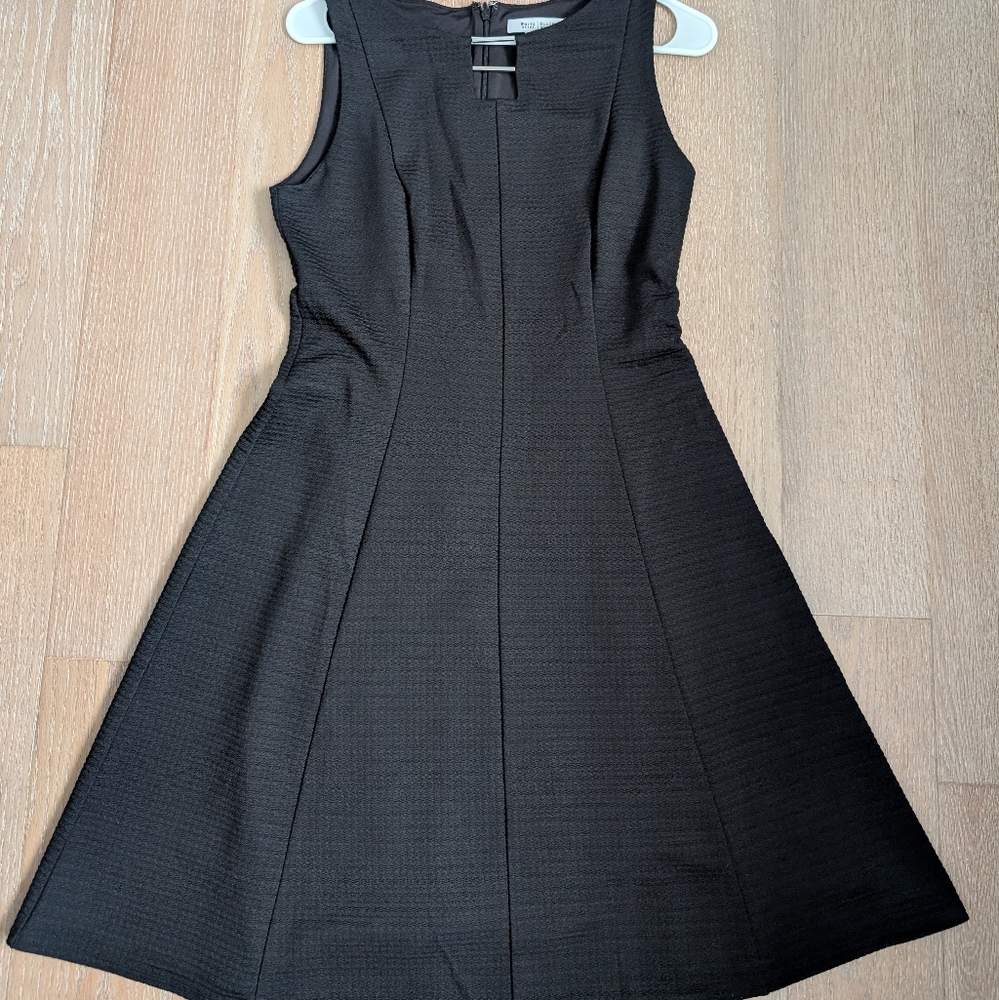 Elegant Black Sleeveless Dress